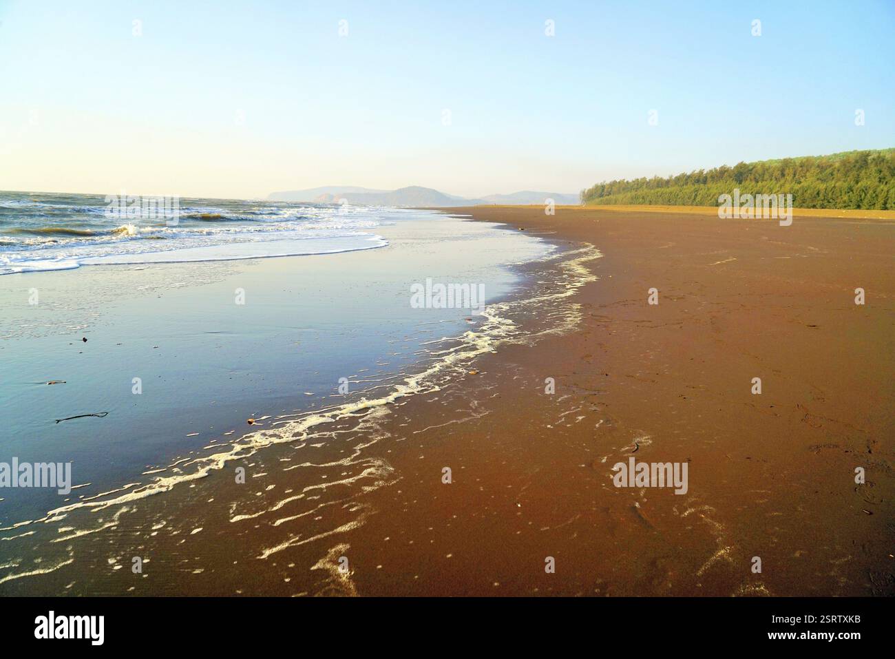 Velas beach, Ratnagiri, Maharashtra, India, Asia Foto Stock