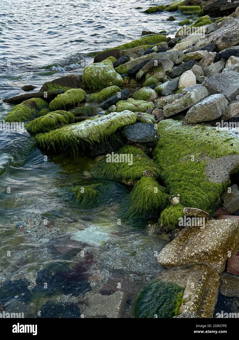 Questa fotografia mostra una costa costiera dove le rocce aspre sono ricoperte di muschio verde vibrante e parzialmente sommerse da acque limpide e ondulate. T Foto Stock