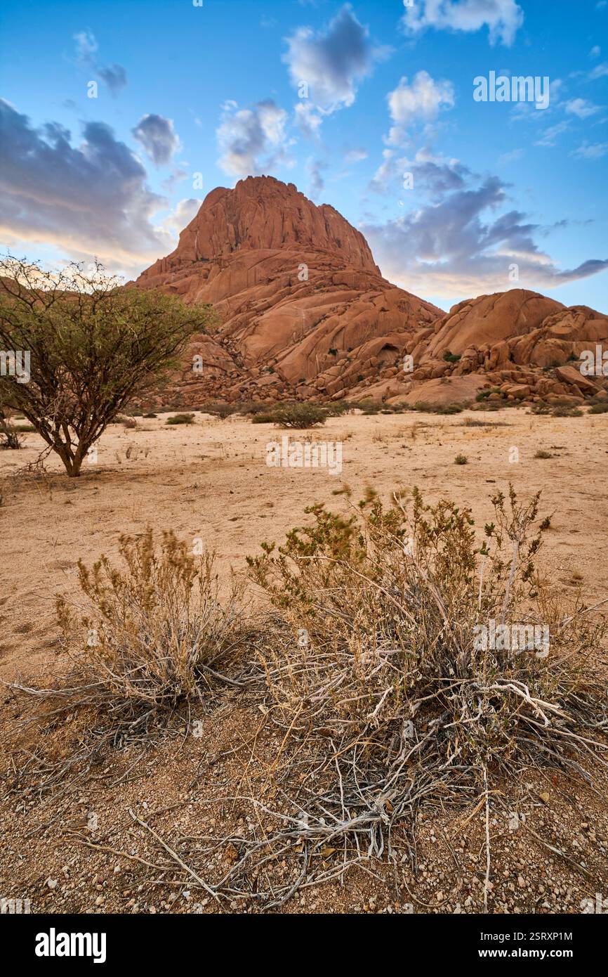 Spizkoppe nella retroilluminazione di un tramonto con nuvole e un cespuglio in primo piano, Namibia, Africa. Foto Stock