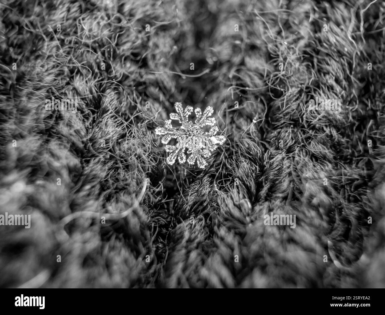 foto macro di un fiocco di neve scattata su sfondo lana Foto Stock