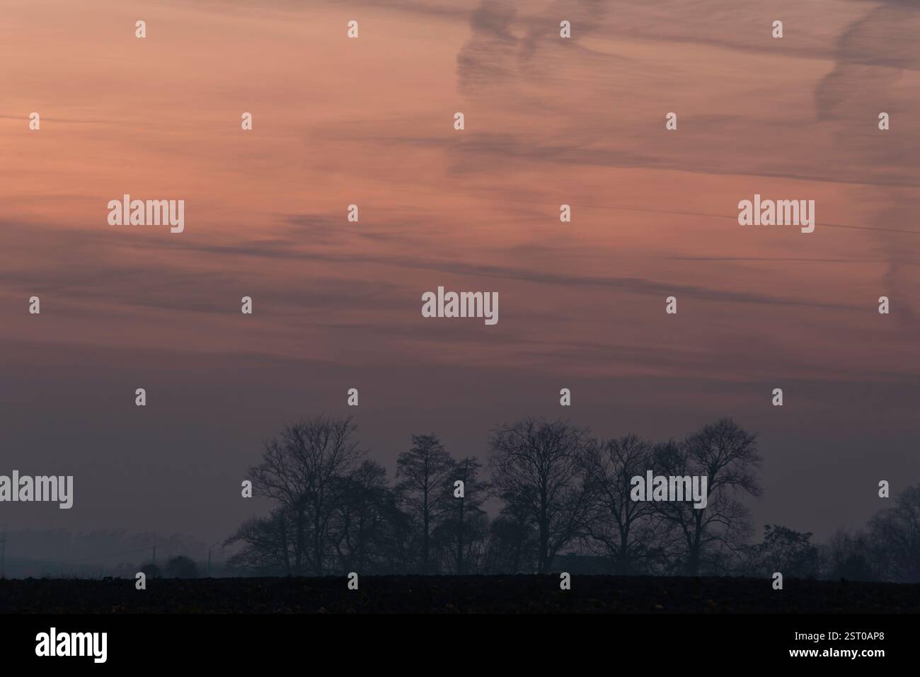 L'immagine mostra un paesaggio al crepuscolo con due alberi in primo piano. Il cielo è arancione-rosa e le sagome degli alberi aggiungono fascino e mistero Foto Stock
