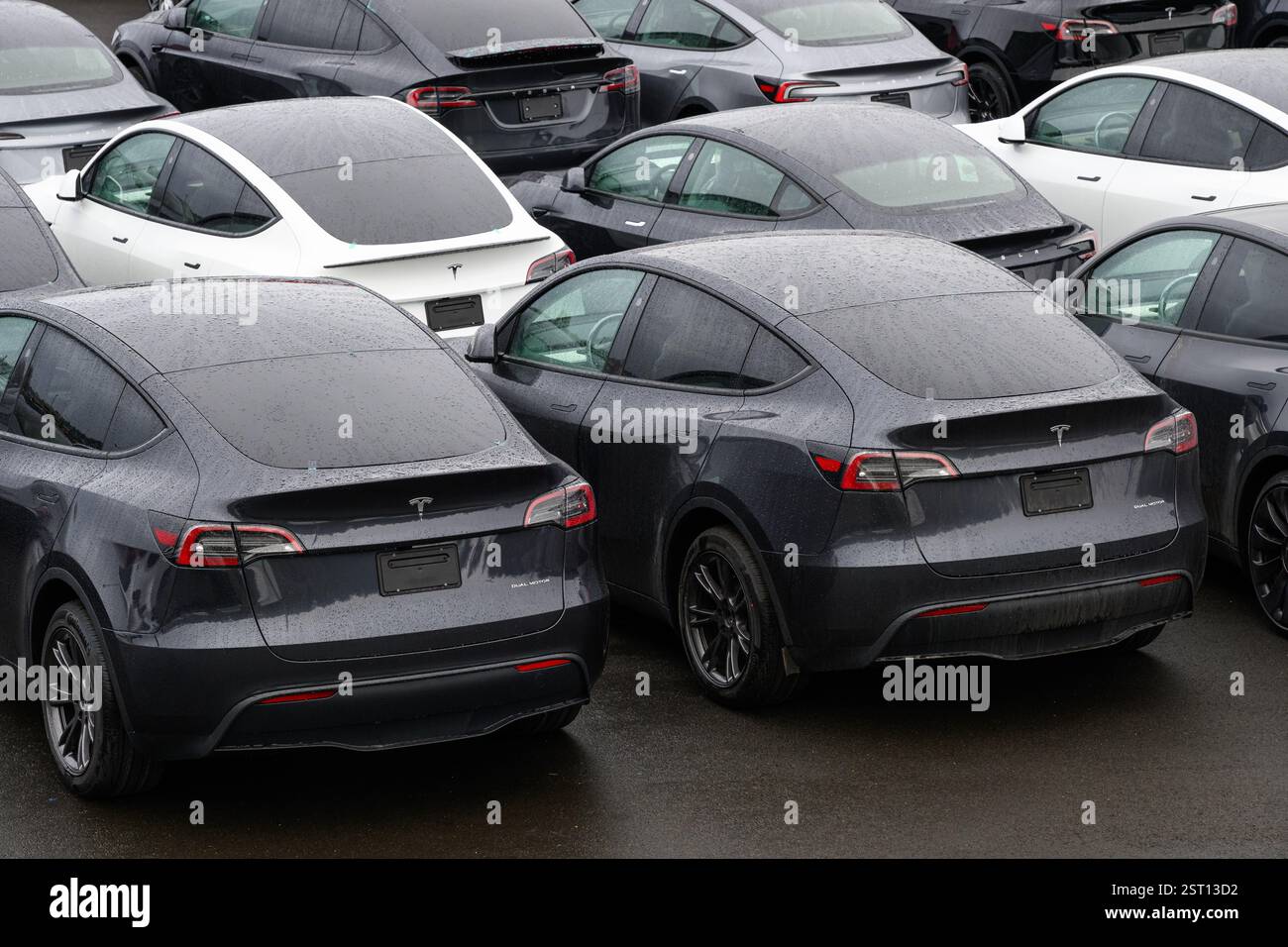 Seattle - 16 febbraio 2025; nuove auto elettriche Tesla parcheggiate in condizioni di pioggia senza targa Foto Stock