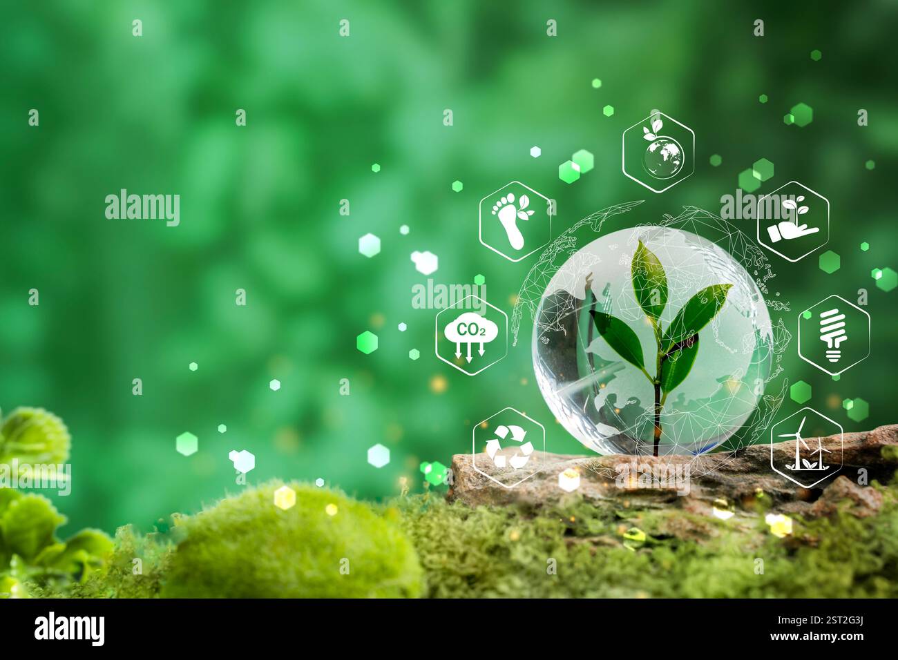 Concetto ESG di terra cristallina, idee per obiettivi di sviluppo sostenibile (SDGs) Globe Glass on Green Moss in Forest business based Global communication network. Foto Stock