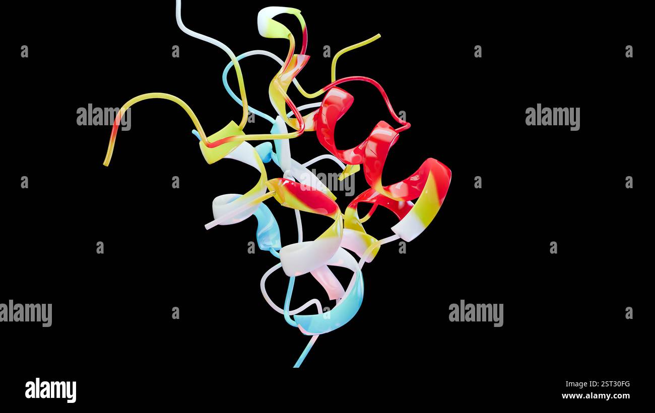 Struttura molecolare di fattori di crescita simili all'insulina umana, concetto biologico, chimica e biochimica, loop, modello cartoon, interlacciato idrofobico Foto Stock
