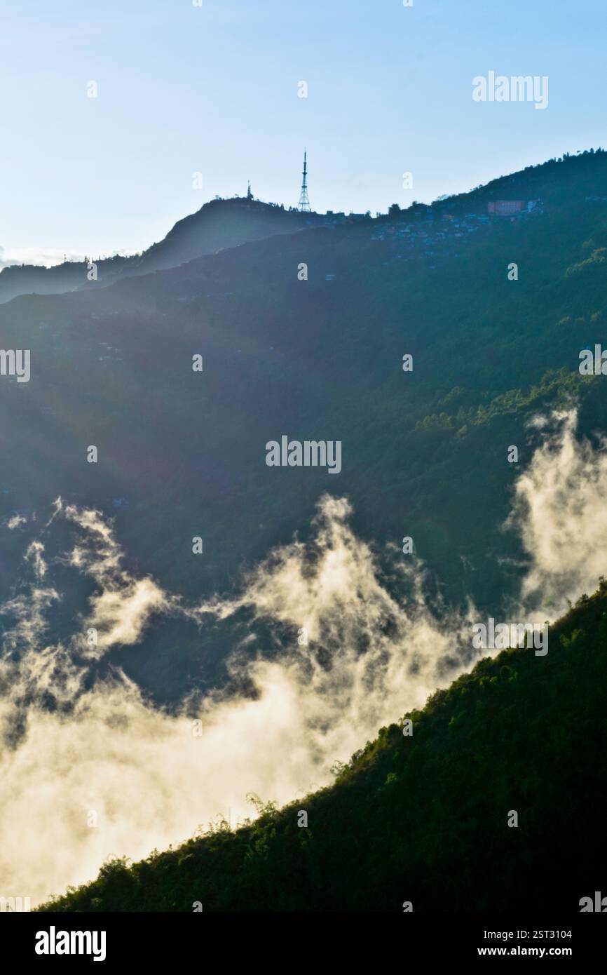 La nebbia dorata drappa le colline, dove l'alba respira luce nel silenzio. Foto Stock