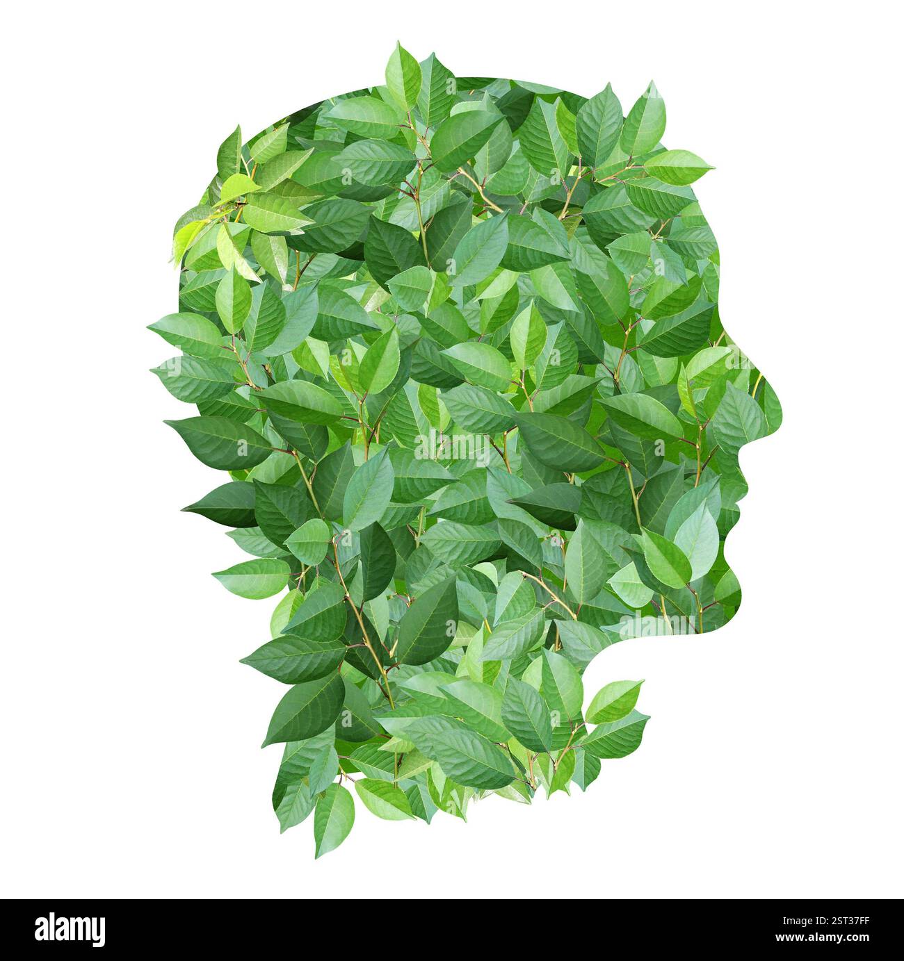 Un profilo umano fatto di foglie verdi. Isolato su bianco. Sviluppo sostenibile di un approccio strategico a zero rifiuti, consumo responsabile. Riutilizzare, e. Foto Stock