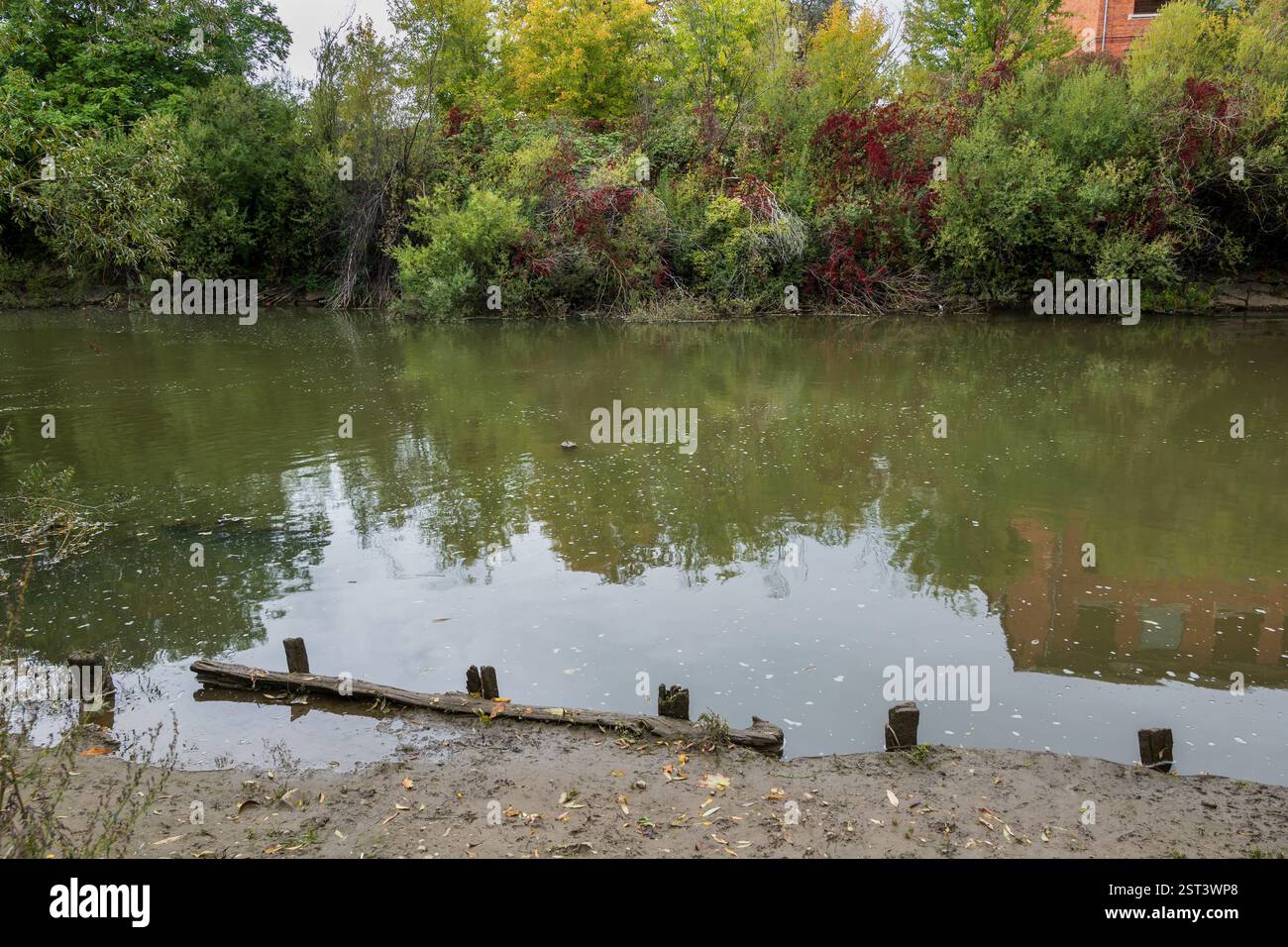 Il fiume Ill, affluente del Reno a Mulhouse, Alsazia, Grand Est, Francia. Foto Stock