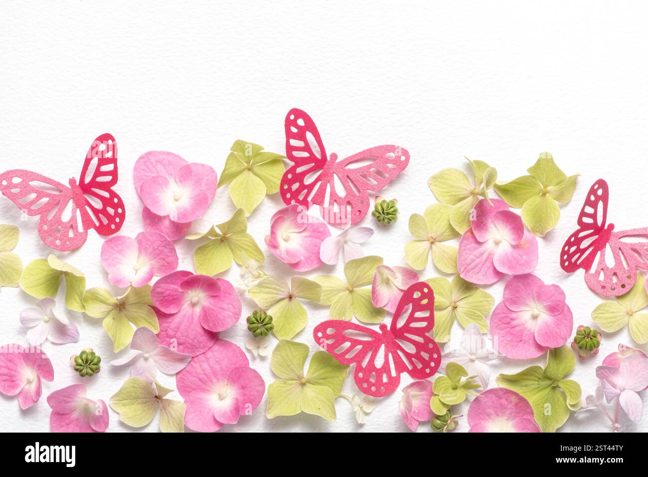 Delicata composizione romantica stesa piatta di farfalle di carta e ortensie floreali su sfondo bianco. Arte cartacea Foto Stock