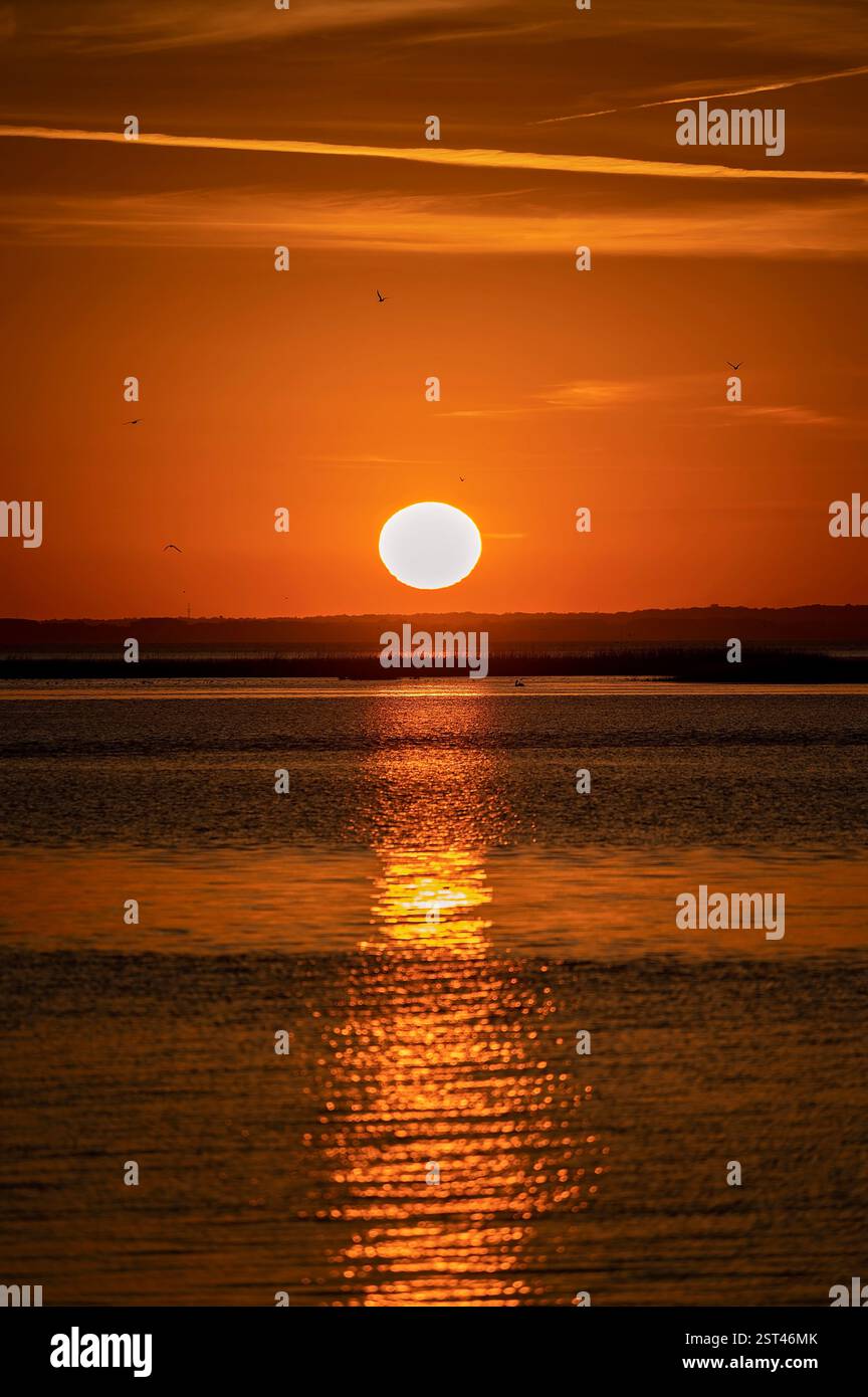 Tramonto mozzafiato sull'acqua calmo con riflessi dorati e uccelli Foto Stock