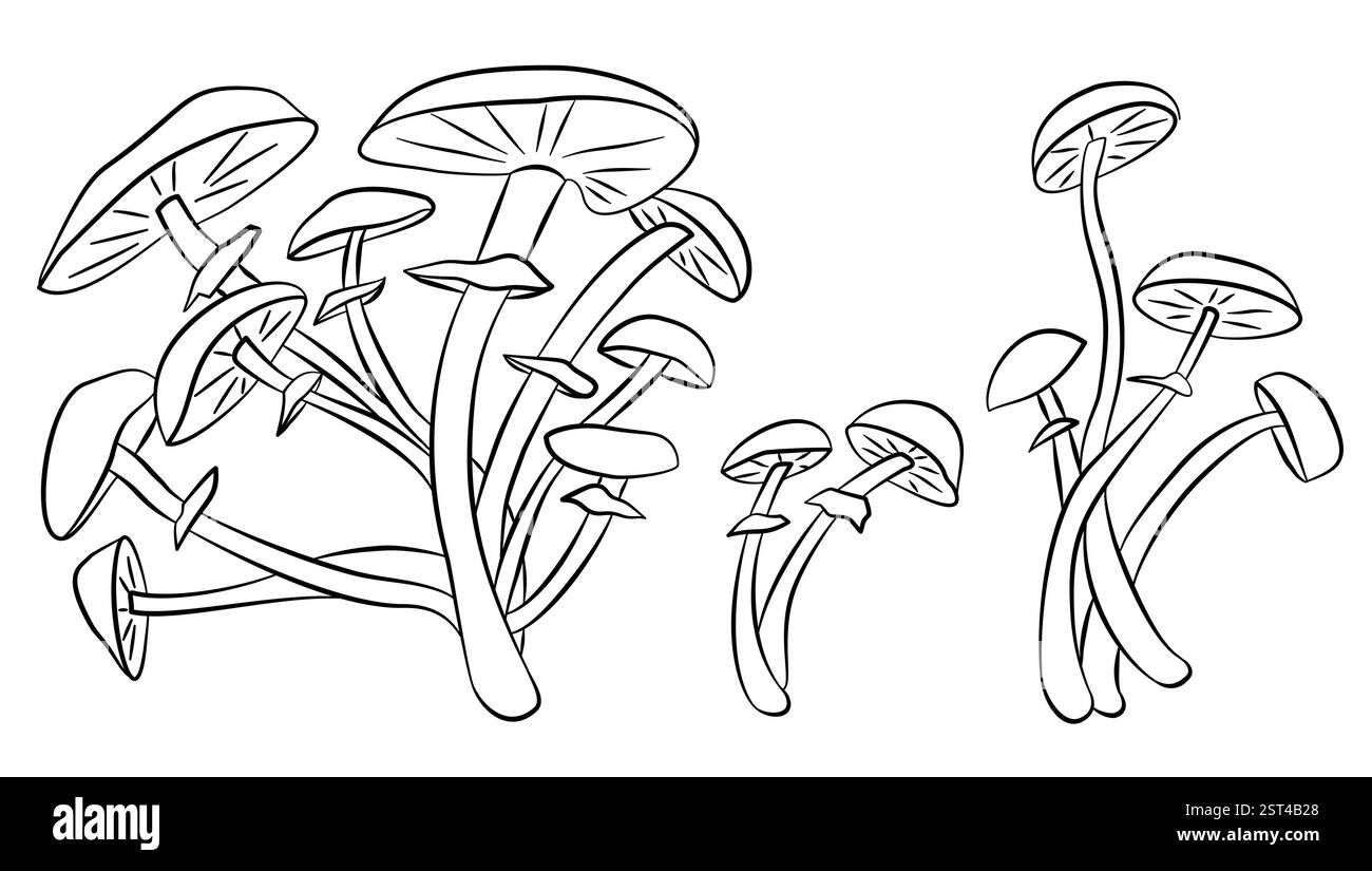 Schizzo di funghi velenosi. Ingredienti naturali, cibo vegetariano isolato, set vettoriale di elementi forestali gourmet. Schizzo di funghi grezzi, champignon edib Illustrazione Vettoriale