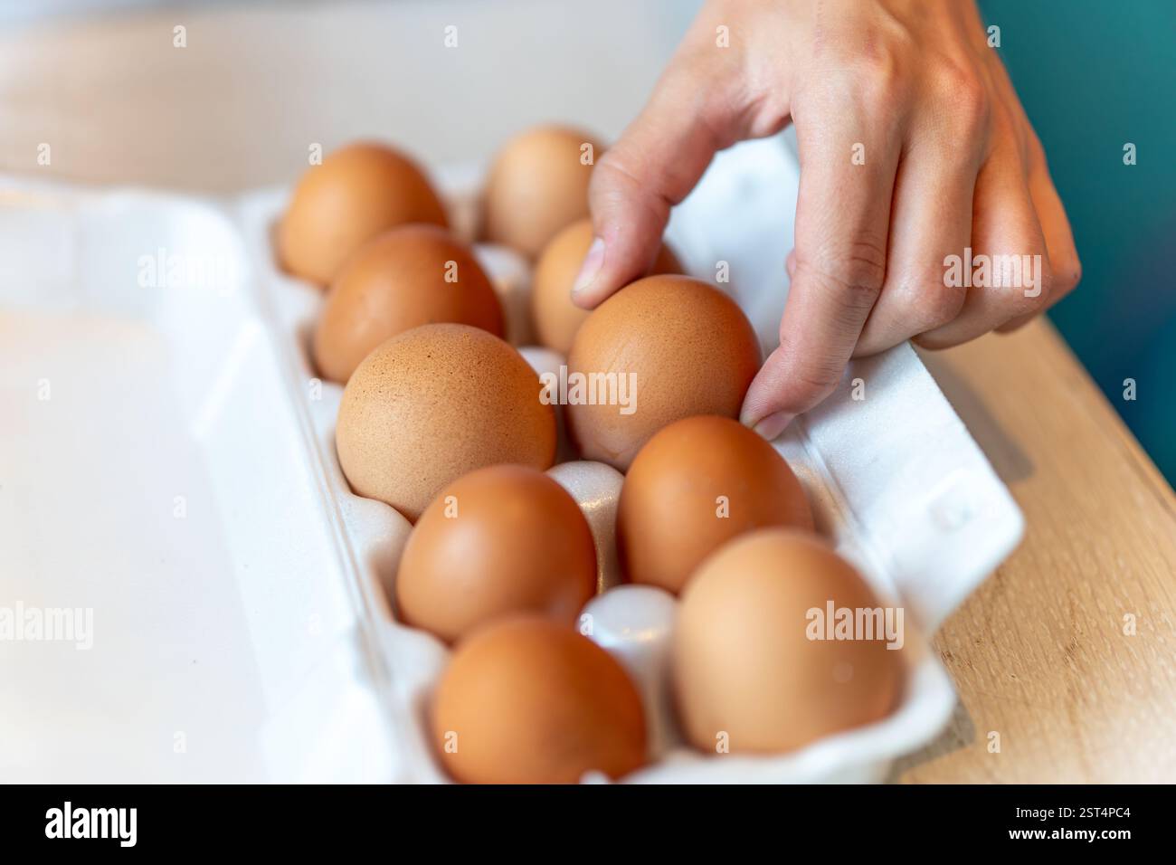 donne con in mano una scatola di uova di cartone piena di uova. la ragazza prende un uovo di gallina da una scatola bianca Foto Stock