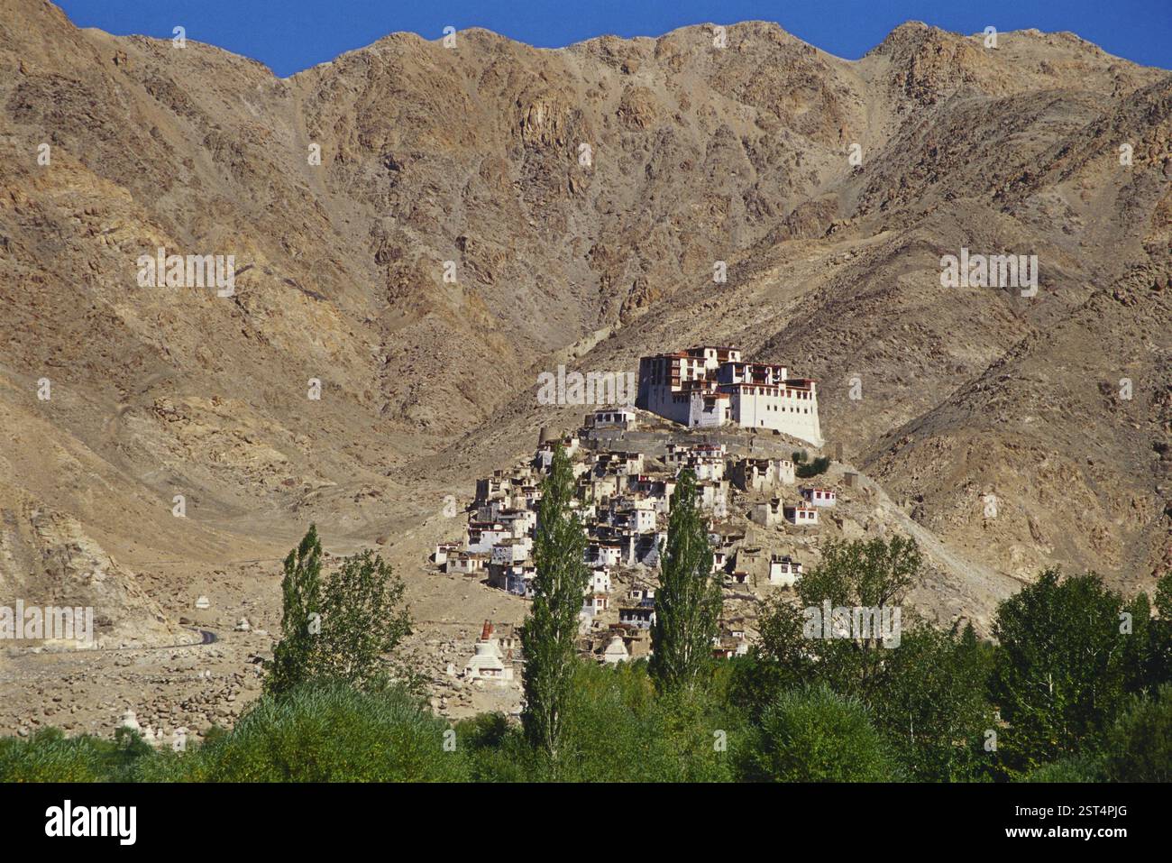 Monastero di Shakti, Leh, Ladakh, Jammu e Kashmir, India, Asia Foto Stock