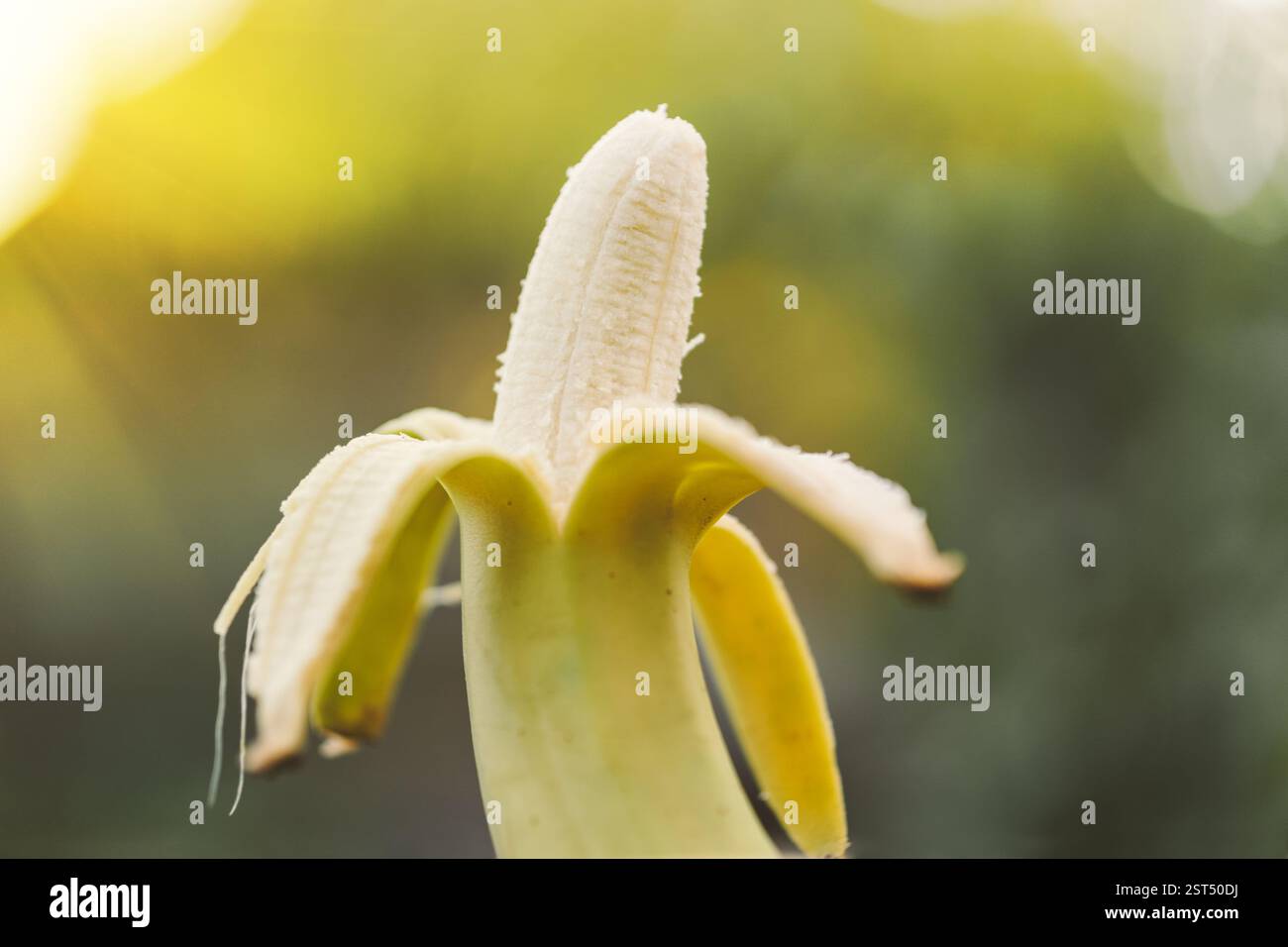 Banana matura a metà sbucciata su uno sfondo verde sfocato della natura Foto Stock