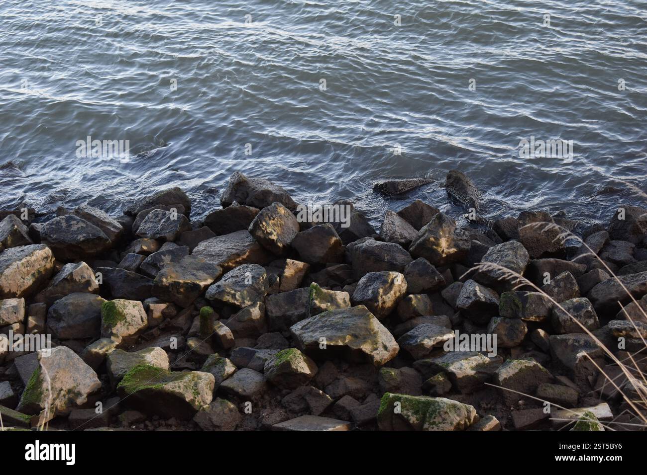 Increspature d'acqua che si lavano su rocce mossy su una costa rocciosa, da vicino. Foto Stock