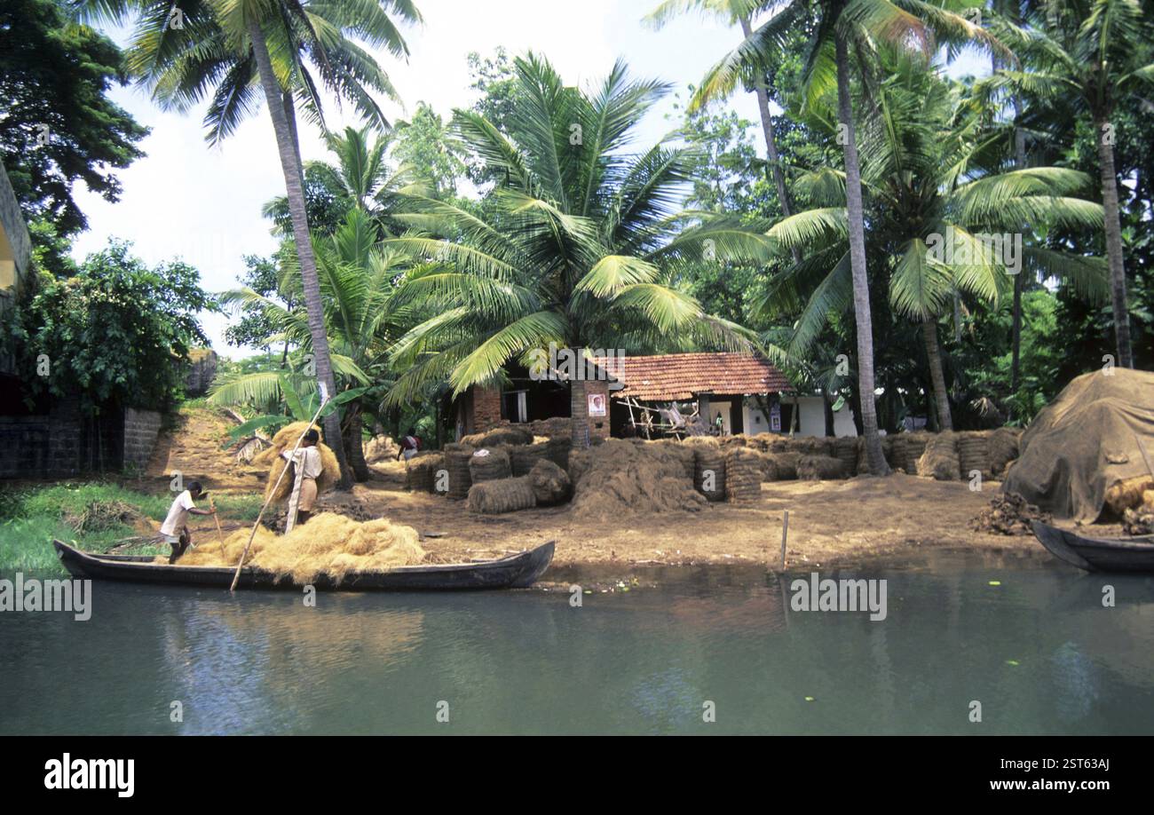 Collezione di cori in barca, Kerala, India, Asia Foto Stock