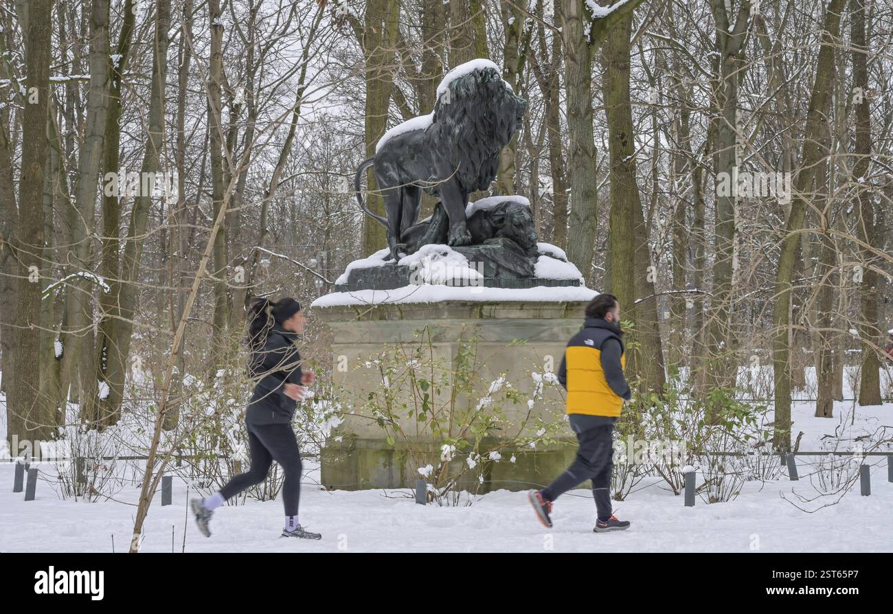 Inverno, neve, gruppo di leoni, Ahornsteig, Tiergarten, Mitte, Berlino, Germania, Europa Foto Stock