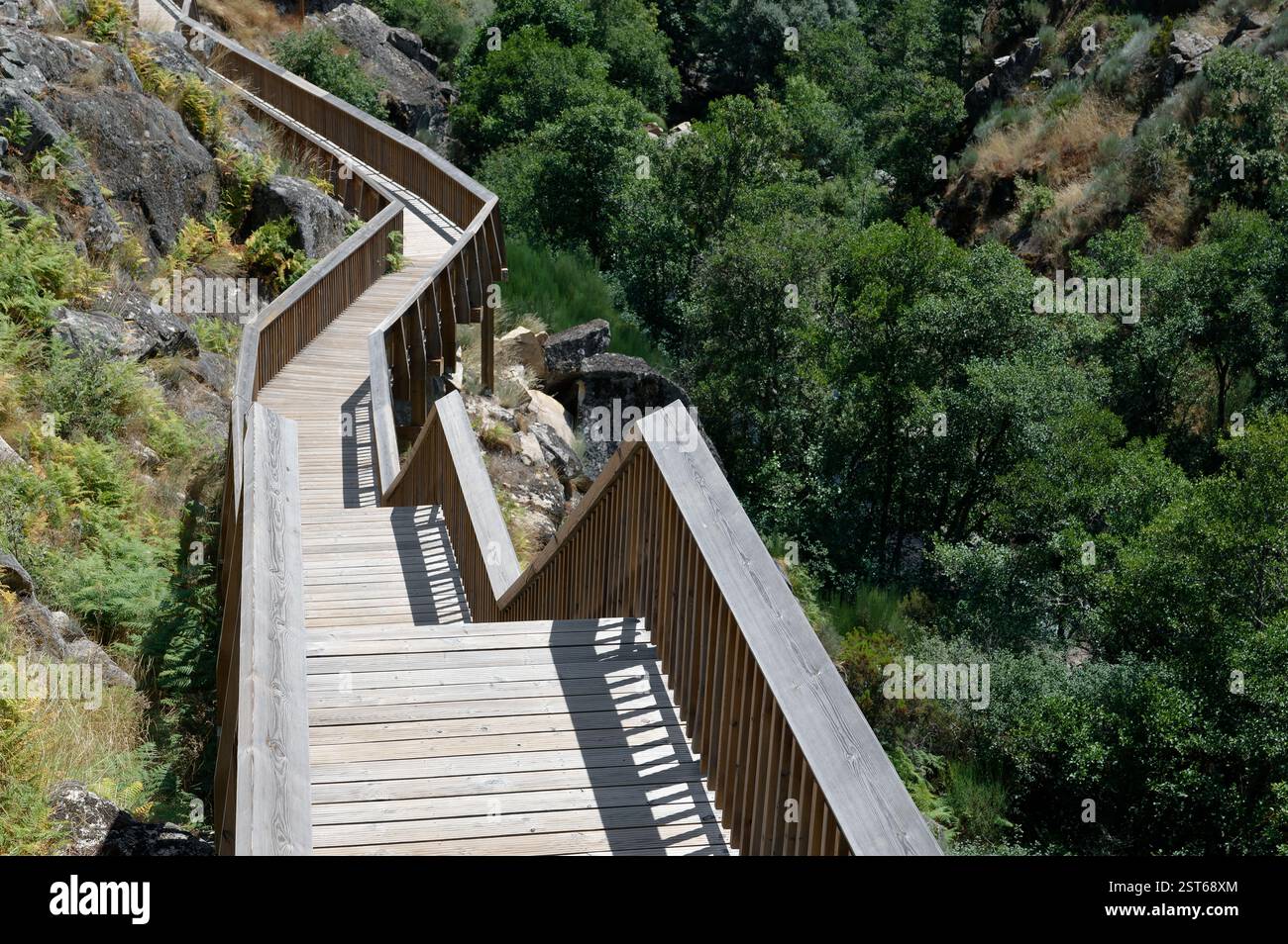 Passerella curvilinea in legno dei sentieri Mondego, circondata da vegetazione lussureggiante e scogliere aspre Foto Stock