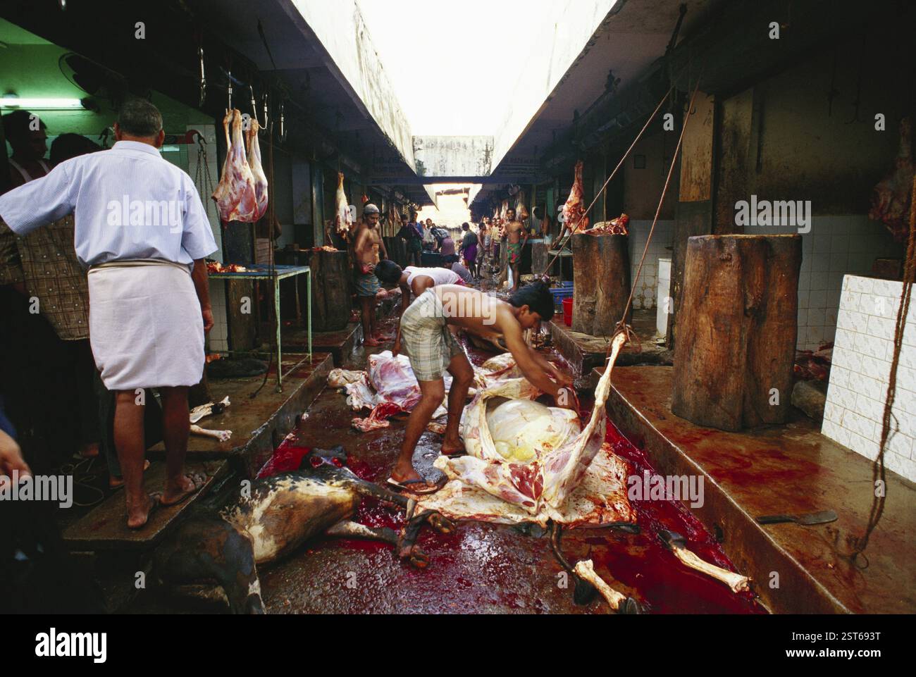 Uomini che lavorano nella macelleria, nel negozio di manzo, nel kerala, in india Foto Stock