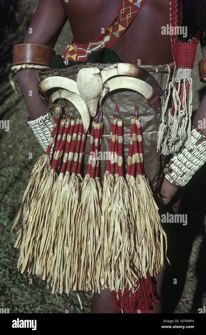La copertura di foglie secche e ossa animali adornano l'abbigliamento di wancho tribale, Arunachal Pradesh, India, Asia Foto Stock