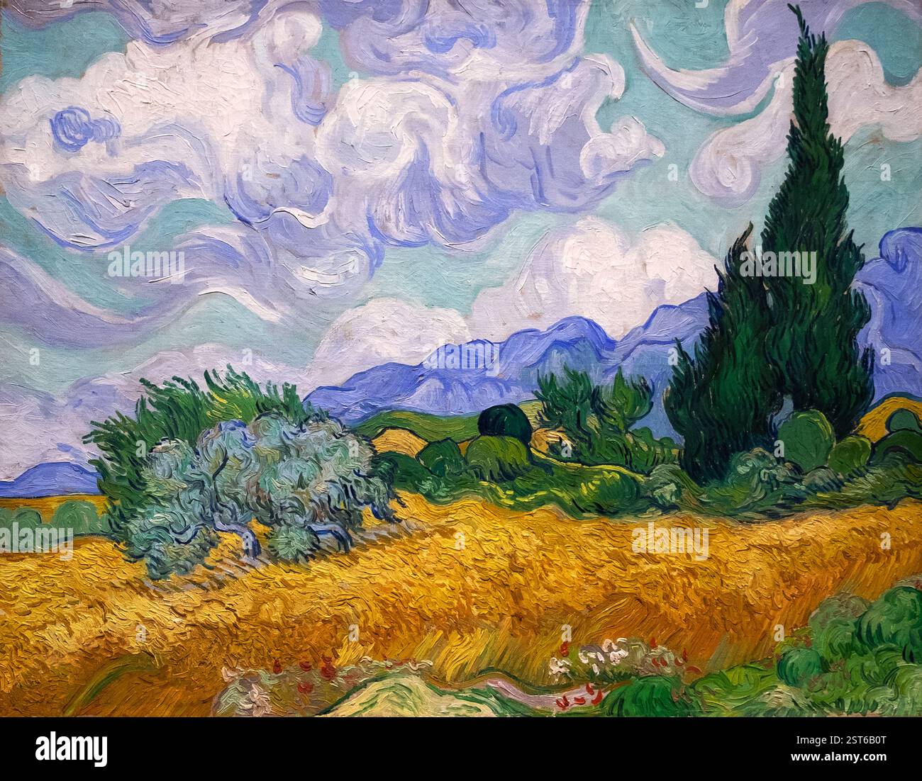 Vincent Van Gogh dipinge "Un campo di grano con cipressi" mostra Poets and Lovers alla National Gallery Londra Inghilterra Regno Unito 2025 KATHY DEWITT Foto Stock