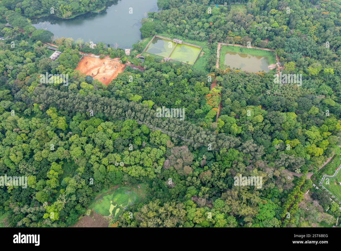 Una splendida vista aerea del Giardino Botanico Nazionale, con vegetazione lussureggiante e paesaggi sereni a Mirpur, Dacca, Bangladesh. Foto Stock