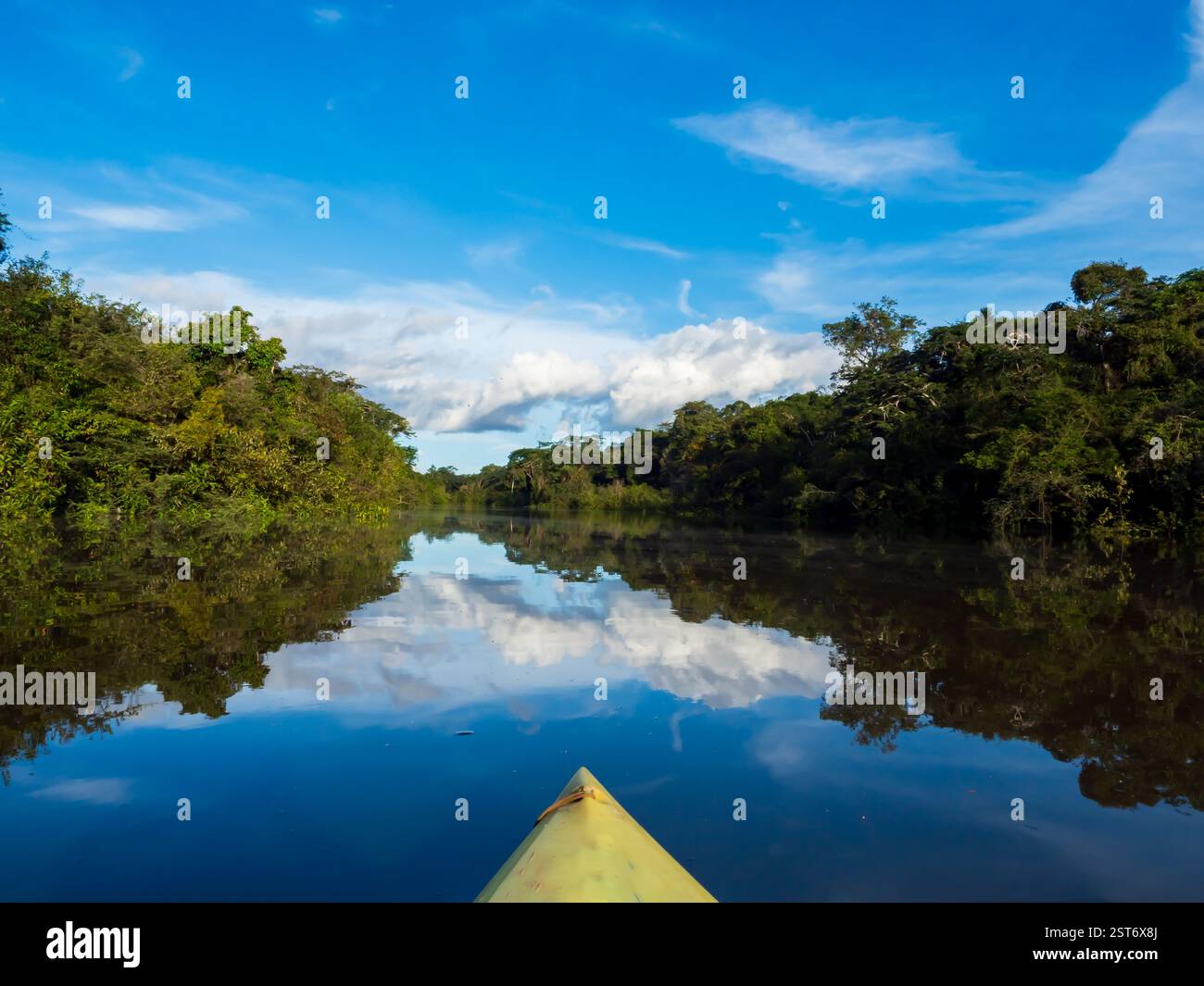 Vista della laguna di Coati vista dal kayak vicino al fiume Javari, l'affluente del Rio delle Amazzoni, l'Amazzonia. Selva al confine tra Brasile e Perù. S Foto Stock