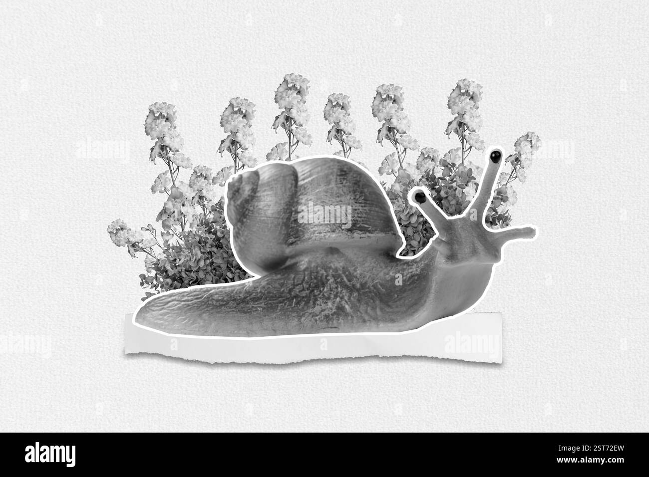 Grafica modello astratto creativo immagine collage di lumaca che strisciare giardino giardino isolato disegno sfondo Foto Stock