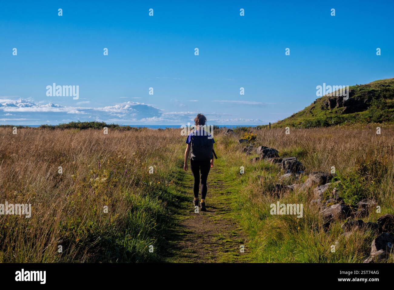 Glengorm, Isola di Mull, Ebridi interne, Scozia, Regno Unito Foto Stock