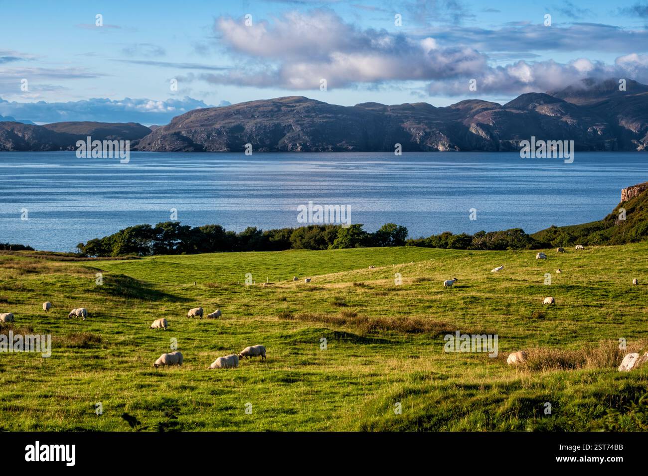 Glengorm, Isola di Mull, Ebridi interne, Scozia, Regno Unito Foto Stock