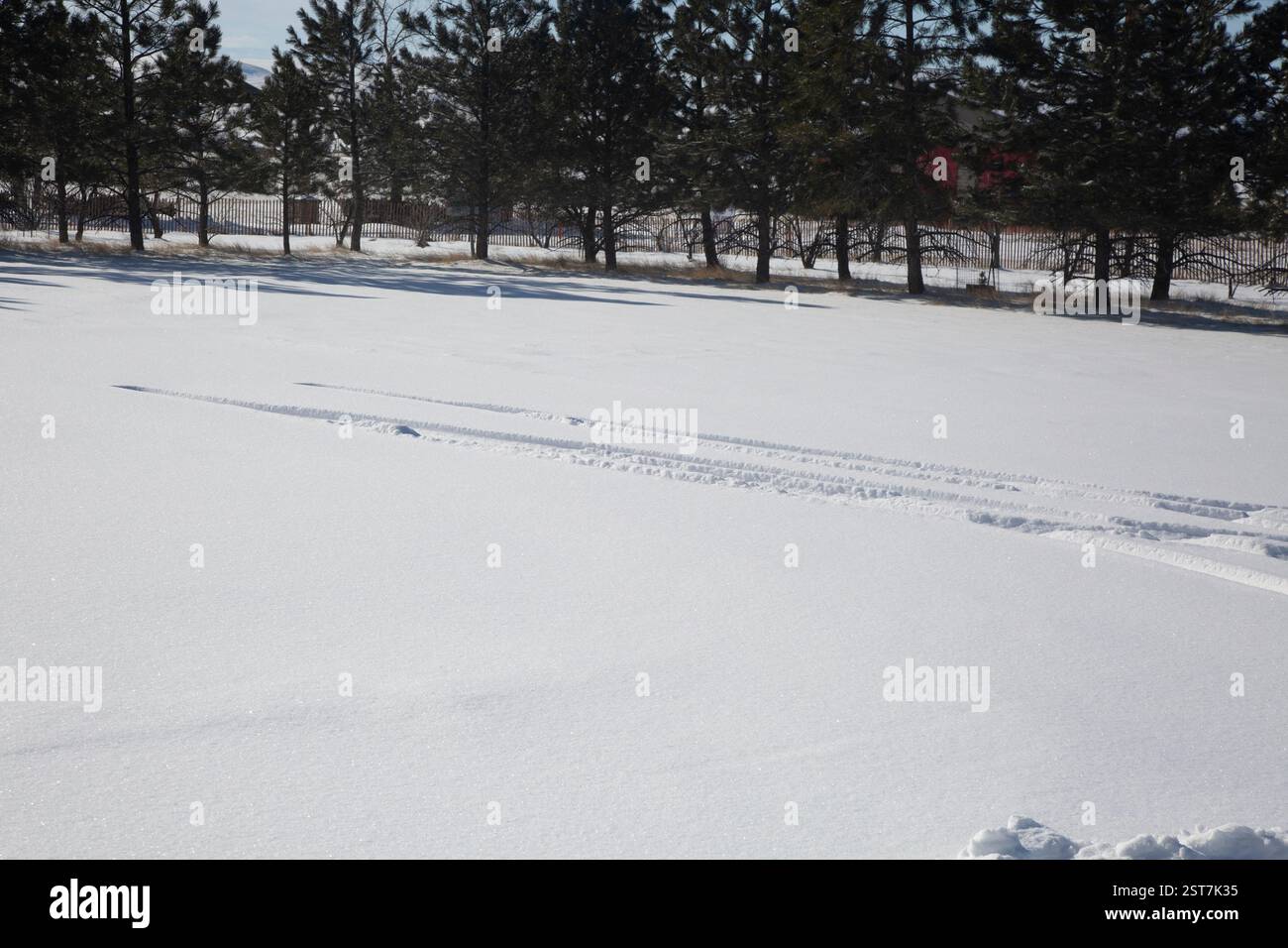Le tracce degli pneumatici segnano il percorso del veicolo che si muove in retromarcia sulla neve. Foto Stock