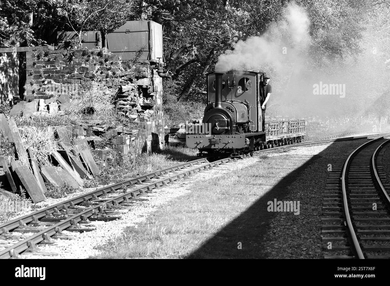 "Elidir" sta facendo una manovra a Gilfach DDU. Foto Stock