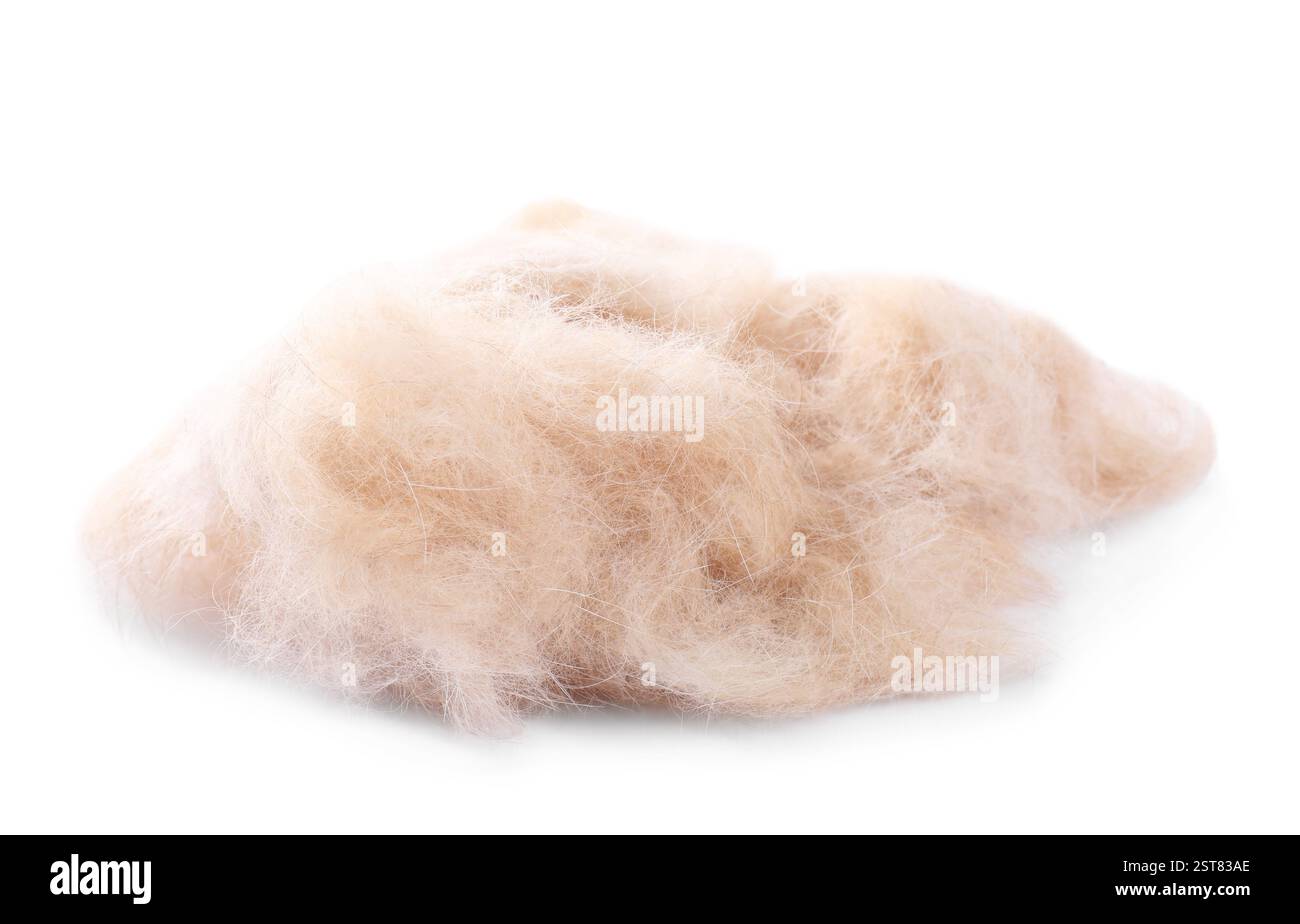 Mucchio di capelli di animale domestico isolato su bianco Foto Stock