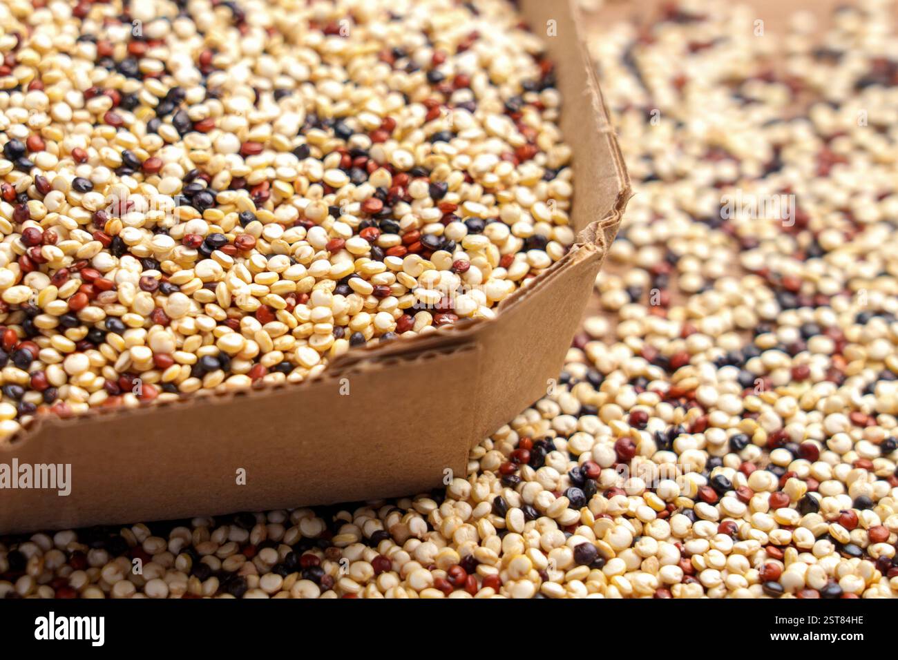 Scatola di cartone ripiena di chicchi di quinoa misti essiccati. Dispensa fresca e nutriente per pasti bilanciati e ricette a base vegetale Foto Stock