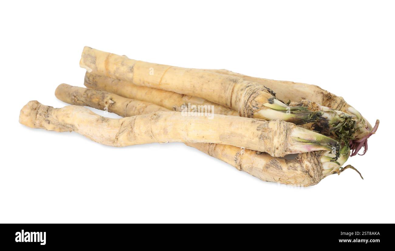 Molte radici di rafano fresche isolate sul bianco Foto Stock