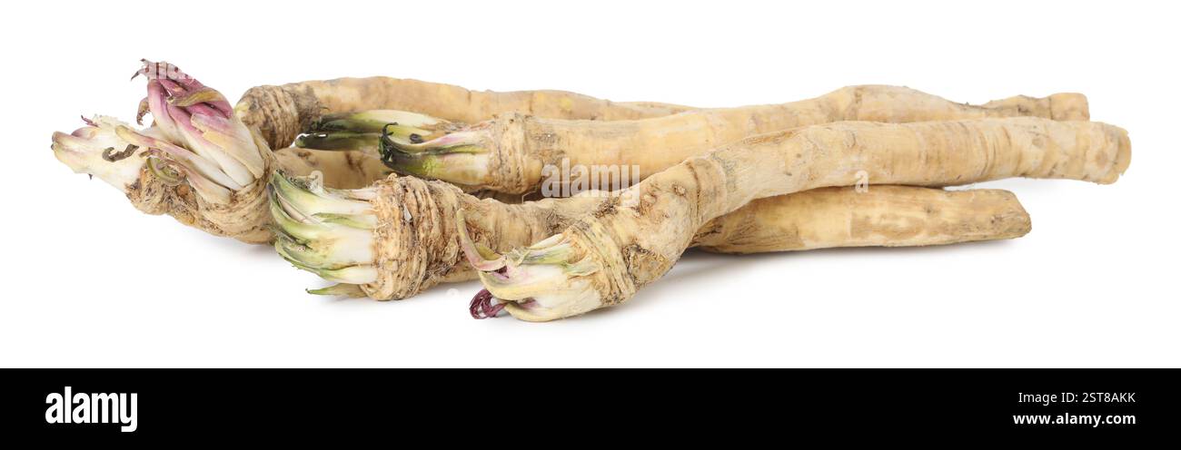 Molte radici di rafano fresche isolate sul bianco Foto Stock