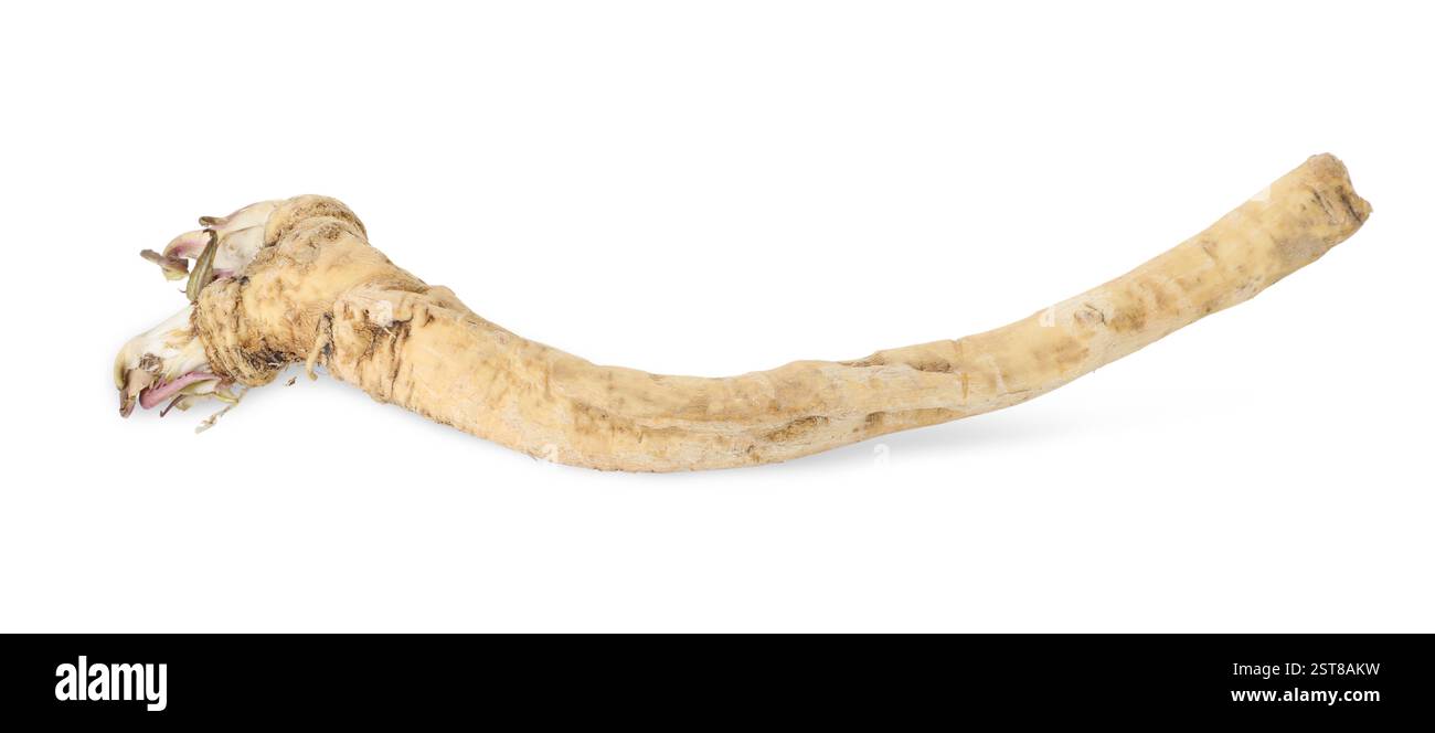 Una radice di rafano fresca isolata su bianco Foto Stock