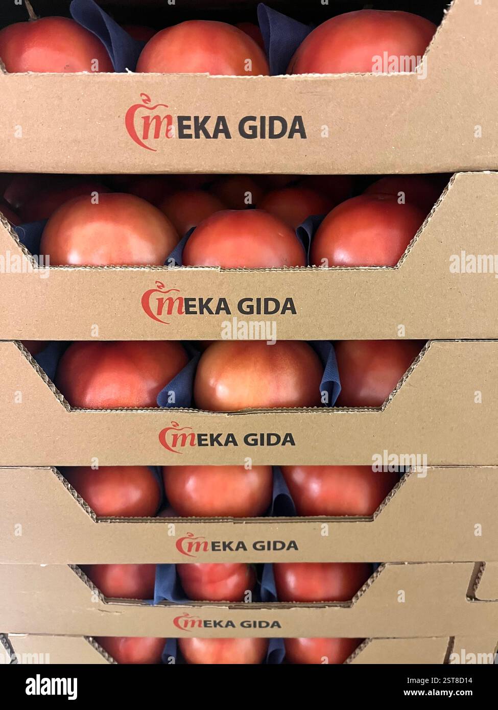 Meka Gida, Mehmet Akboru, MEKA GIDA MEHMET AKBÖRÜ, pomodori, verdure, turco, grossista, agricoltura, approvvigionamento alimentare, logistica, distribuzione, - Immagine stock catturata con smartphone