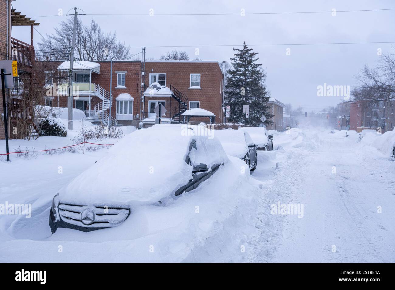 Montreal, Canada - 17 febbraio 2025: Auto coperte di neve dopo una grande tempesta invernale Foto Stock