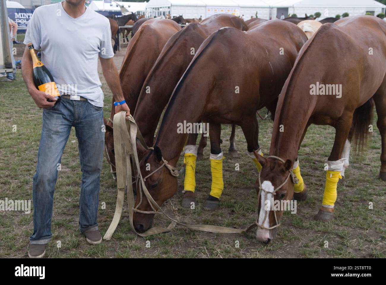 Pony di polo alla fine della giornata, guidati da uno sposo che regge una bottiglia di champagne Veuve Clicquot. Il Veuve Clicquot è stato sponsor della partita di polo del Days. Mint Polo nel parco. Hurlingham Park Fulham Londra Regno Unito 6 giugno 2010. 2010 UK HOMER SYKES Foto Stock