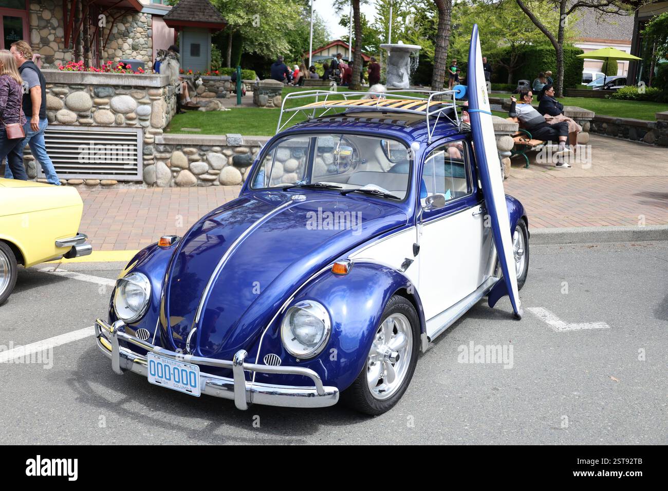 VW Surfer Bug Foto Stock