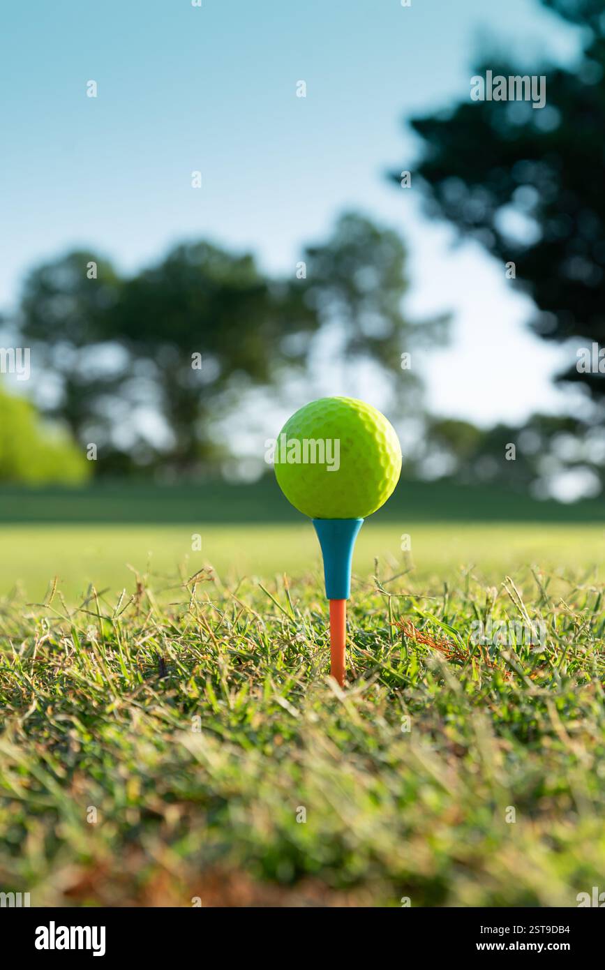 Pallina da golf verde su tee da golf blu e arancione. Foto Stock