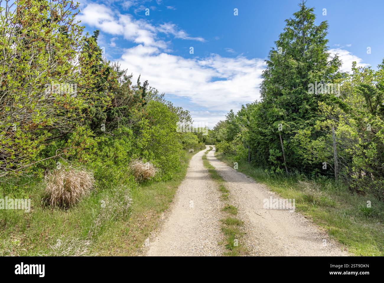 sezione di una strada sterrata nella long island orientale Foto Stock