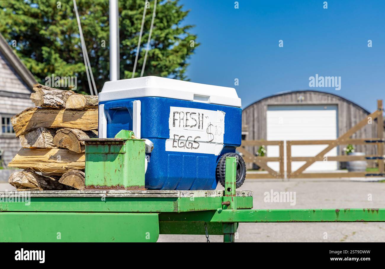 i semplici contadini della strada vendono legna da ardere e uova fresche sul bivio nord Foto Stock