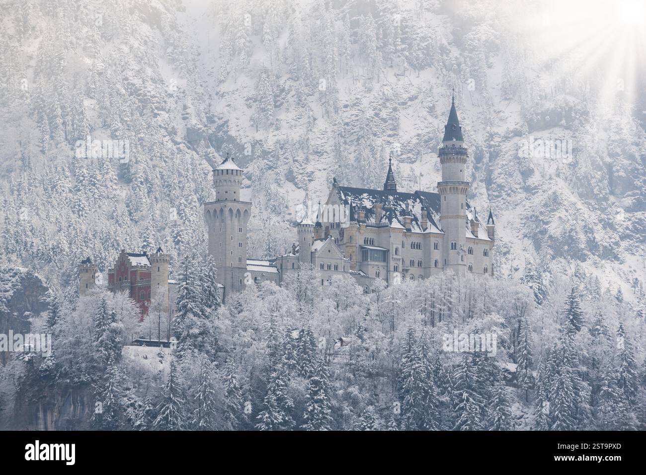 Imponente castello circondato da alberi innevati e montagne, con cielo inondato di luce, Neuschwanstein, Schwangau, Ostallgaeu, Allgaeu, Svevia, Uppe Foto Stock