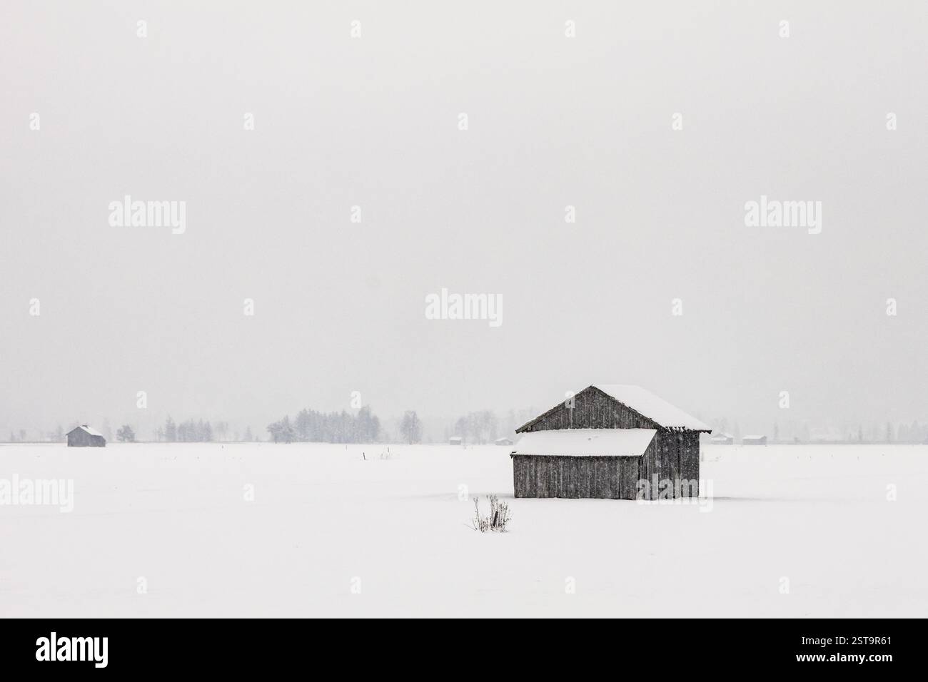 Capanna, capanna di legno, neve, neve, nevicata, inverno, Loisach-Lake Kochel-Moor, colline alpine, Baviera, Germania, Europa Foto Stock