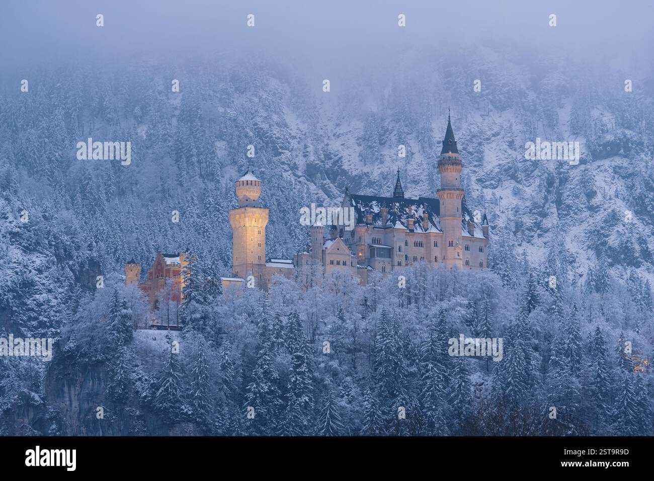 Il castello è illuminato e si trova nel mezzo di una foresta innevata e montagne nebbiose, Neuschwanstein, Schwangau, Ostallgaeu, Allgaeu, Svevia Foto Stock