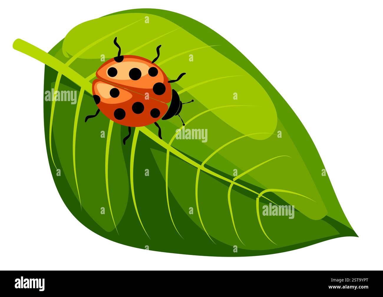 Illustrazione di una coccinella su una foglia verde vivace in un giardino soleggiato Illustrazione Vettoriale