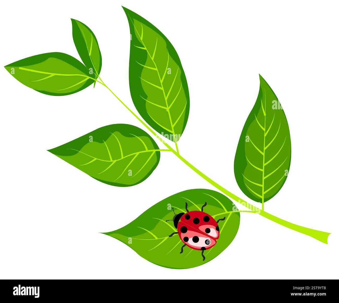 Coccinella colorata appoggiata su una foglia verde vibrante in un giardino soleggiato Illustrazione Vettoriale