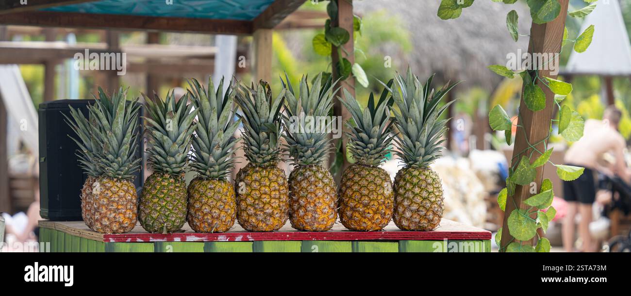 Fila di ananas in un negozio per preparare bevande alcoliche da cocktail Foto Stock