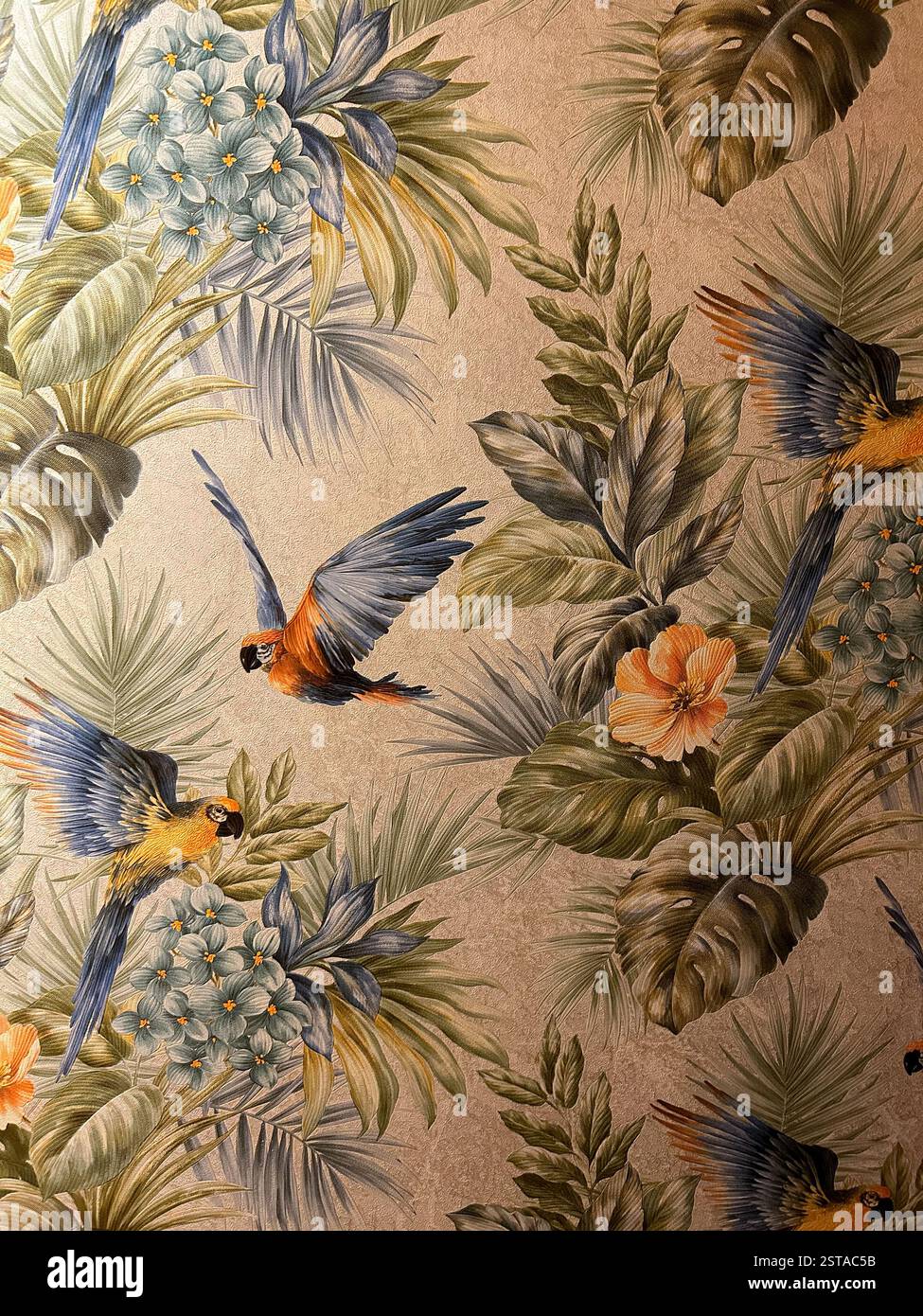 Questo vivace design della carta da parati porta l'essenza dei tropici in qualsiasi spazio. È dotato di pappagalli splendidamente dettagliati a metà volo, circondati da Foto Stock
